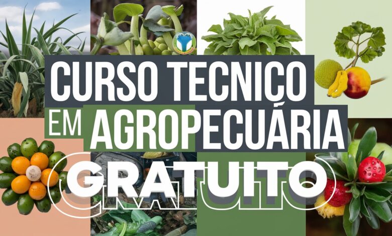 Curso Técnico em Agropecuária EAD no IFRR! 100 vagas em Bonfim e Normandia. Inscrições até 14/04/2025. Use suas notas do Ensino Médio!