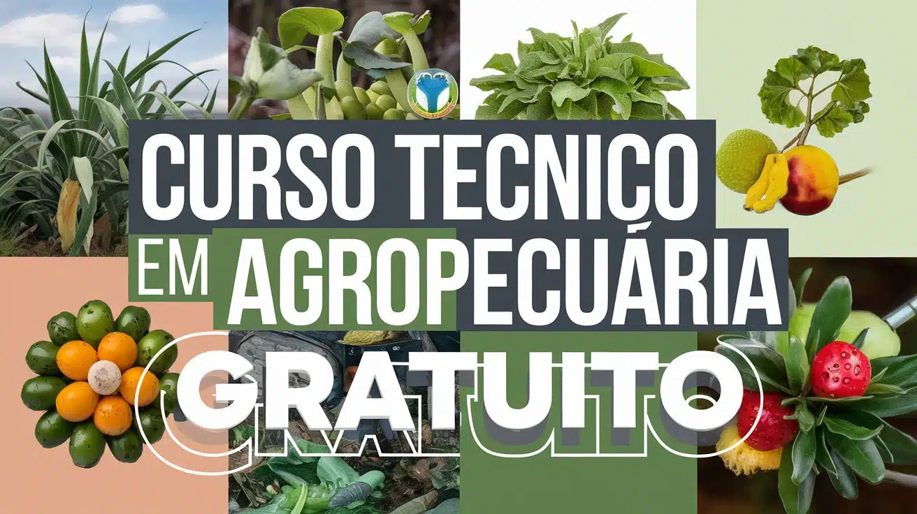 Curso Técnico em Agropecuária EAD no IFRR! 100 vagas em Bonfim e Normandia. Inscrições até 14/04/2025. Use suas notas do Ensino Médio!