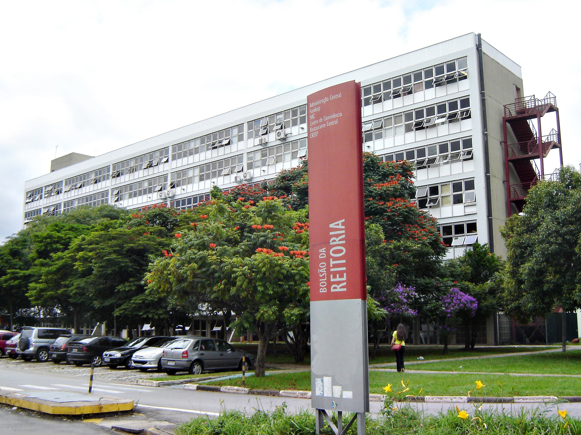 Participe dos cursos gratuitos da USP em Antropologia, Museu de Zoologia e História em Quadrinhos em 2025. Inscrições abertas!