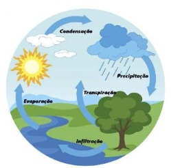 prova saresp saeb 5º ano