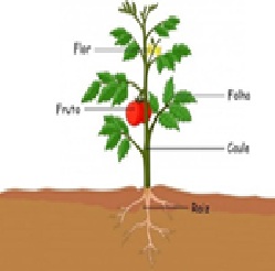 prova saresp saeb 5º ano