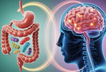 Descubra como o eixo intestino-cérebro influencia sua saúde mental e física. Novas pesquisas revelam esta conexão vital para seu bem-estar.