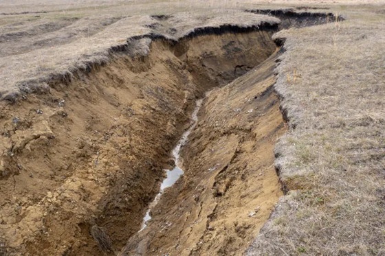 prova saresp saeb 5º ano