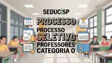 SEDUC-SP anuncia processo seletivo para professores Categoria O em 2026 — oportunidade de lecionar na rede estadual