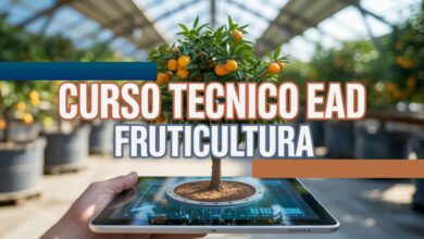 Inscreva-se no Curso Técnico em Fruticultura EAD da UFSM! 60 vagas abertas. Qualificação profissional de excelência.