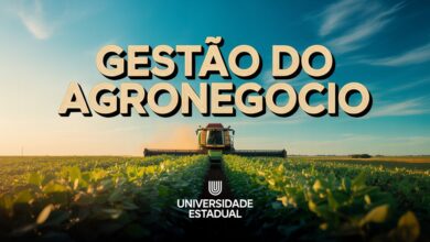Sua chance de entrar na universidade chegou! Unitins oferece cursos EAD gratuitos, incluindo Gestão do Agronegócio EAD. Veja mais!