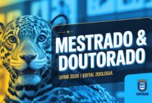 Oportunidade de Pós-Graduação Gratuita na UFAM! Edital oferece vagas para Mestrado e Doutorado em Zoologia. Saiba mais sobre a seleção.