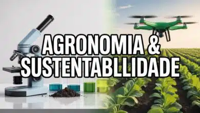 A UERGS lançou curso de Especialização em Agronomia e Meio Ambiente. Essa é a oportunidade de pós-graduação gratuita! Inscrições abertas!