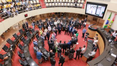 Fim das cotas raciais em universidades de Santa Catarina mobiliza MP, OAB e comunidade acadêmica em defesa das ações afirmativas.
