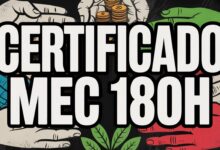 O curso de aperfeiçoamento gratuito e EAD de Economia Popular e Solidária do MEC está chamando a atenção! Inscrições na Plataforma AVAMEC!