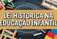 Professores de creches e pré-escolas passam a ter direito ao piso do magistério e reconhecimento na carreira docente com a nova lei federal.