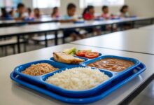 CCJ da Câmara aprova regra que assegura merenda escolar para professores e demais trabalhadores da educação; veja impactos na educação pública.