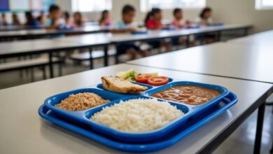 CCJ da Câmara aprova regra que assegura merenda escolar para professores e demais trabalhadores da educação; veja impactos na educação pública.