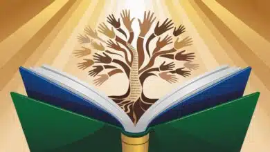 UFRPE abre 2.000 vagas em curso gratuito de Direitos Humanos na Educação Integral para profissionais da educação. Inscrições abertas!