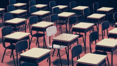 Meta do Novo Plano Nacional de Educação - PNE limita temporários nas redes públicas! Confira detalhes e ações!