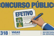 Secretaria da Educação de Santa Catarina - SED SC abre inscrições para contratação de professores com mais de 5 mil vagas imediatas