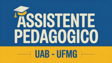 UFMG Abre Seleção de Bolsistas para Equipe Multidisciplinar da UAB com Bolsa de R$1.550
