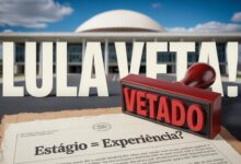 Projeto de Lei que reconhece o Estágio Profissional para Experiência é vetado por Lula! Endenta ass justificativas do veto!
