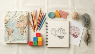 A USP oferece 3 cursos gratuitos de 30h sobre inclusão escolar no Encontro USP-Escola 2026 TEA, TDAH e neurodiversidade na adolescência!