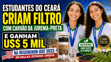 Estudantes do Ceará criam filtro de água com jurema-preta e vencem US$ 5 mil na Regeneron ISEF 2023, maior feira de ciências do mundo.