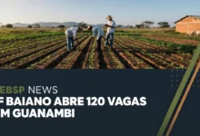 IF Baiano abre inscrições para cursos técnicos subsequentes ao ensino médio. Vagas em Agricultura e Zootecnia e matrícula até julho.