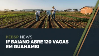 IF Baiano abre inscrições para cursos técnicos subsequentes ao ensino médio. Vagas em Agricultura e Zootecnia e matrícula até julho.