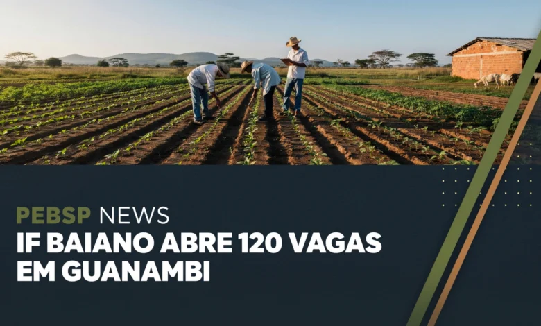 IF Baiano abre inscrições para cursos técnicos subsequentes ao ensino médio. Vagas em Agricultura e Zootecnia e matrícula até julho.