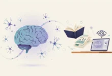 IFRJ abre 20 vagas gratuitas para o curso de especialização em Neuroeducação em 2027. Inscrições de 1008 a 11092026.