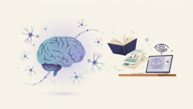 IFRJ abre 20 vagas gratuitas para o curso de especialização em Neuroeducação em 2027. Inscrições de 1008 a 11092026.