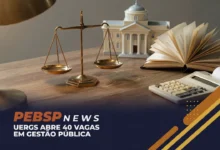 Procurando uma pós-graduação gratuita A UERGS abriu vagas no curso de especialização em Gestão Pública com seleção sem provas.