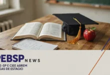 SME e CIEE abrem estágio para licenciandos acompanharem professores em escolas municipais de SP. Inscrições contínuas pelo portal do CIEE.