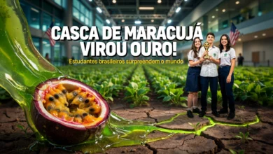 Sustainpoly venceu a FEBRACE 2026 e ficou em 4º lugar mundial na Regeneron ISEF com material de centavos.