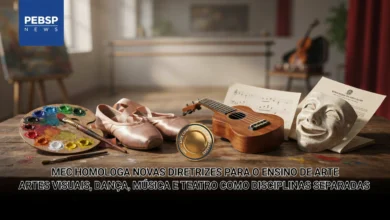 MEC homologa diretrizes que separam artes visuais, dança, música e teatro em disciplinas próprias. Escolas têm até 2036 para se adaptar.
