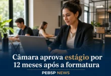 Câmara aprova estágio por 12 meses após a formatura