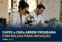 CAPES e CNPq ABREM PROGRAMA COM BOLSAS PARA INOVAÇÃO