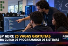IFSP Ribeirão Preto abre 25 vagas gratuitas no curso de Programador de Sistemas pelo Pronatec, com bolsa de R$ 3,75/hora-aula. Inscrições até 18/09.