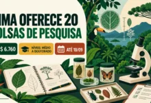 INMA abre 20 bolsas de pesquisa para diversos níveis de formação. Inscrições seguem até 18 de setembro, às 23h59.